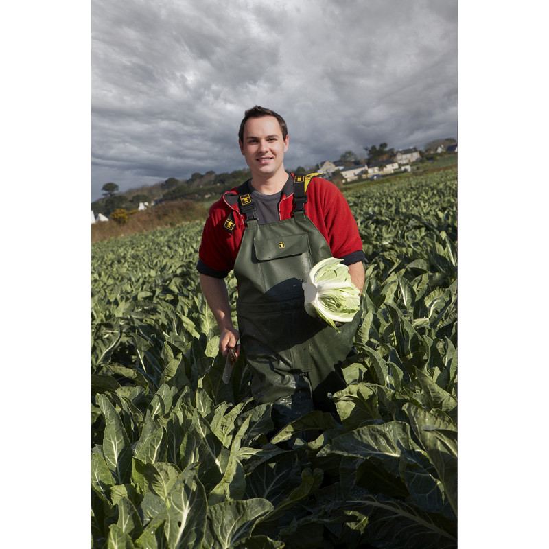 Cotte a bretelles étanche Armoric  - choux fleur